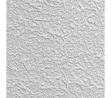 Anaglypta RD 80009 Fibrous (DD)