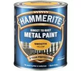 Hammerite Smooth Finish