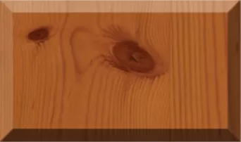 Dark Oak